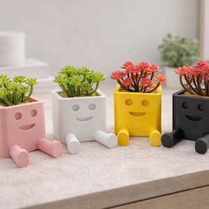 Könnte beinhalten: Vier farbenfrohe, lächelnde, quadratische Pflanzgefäße mit künstlichen Sukkulenten. Die Pflanzgefäße sind rosa, weiß, gelb und schwarz. Jedes Pflanzgefäß hat ein Gesicht und Beine. Die Pflanzen haben grünes und rotes Laub.