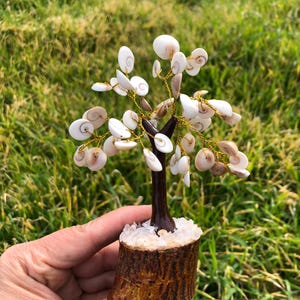 May include: A small decorative tree made of seashells and wire. The tree is brown and white and is sitting on a wooden base. The base is covered in small white stones.