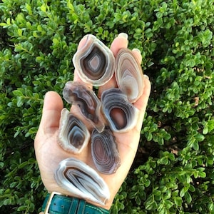 Botswana Agate Slice: Polished Crystal Display, Healing Stone