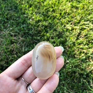 Dendritic Agate Palm Stone: Crystal Gemstone