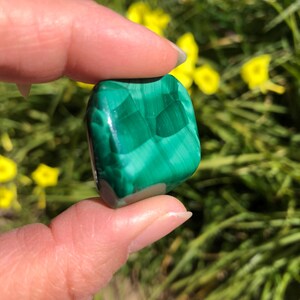Polished Malachite Tumble Stone: Medium Natural Crystal, Healing Decor