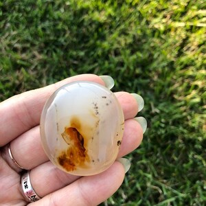 Dendritic Agate Palm Stone: Madagascar Crystal Gemstone (35 grams)