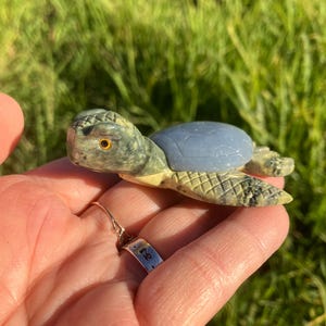 Serpentine & Angelite Turtle: Hand Carved Healing Stone #4