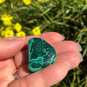 Polished Malachite Tumble Stone: Medium Natural Crystal, Healing Decor