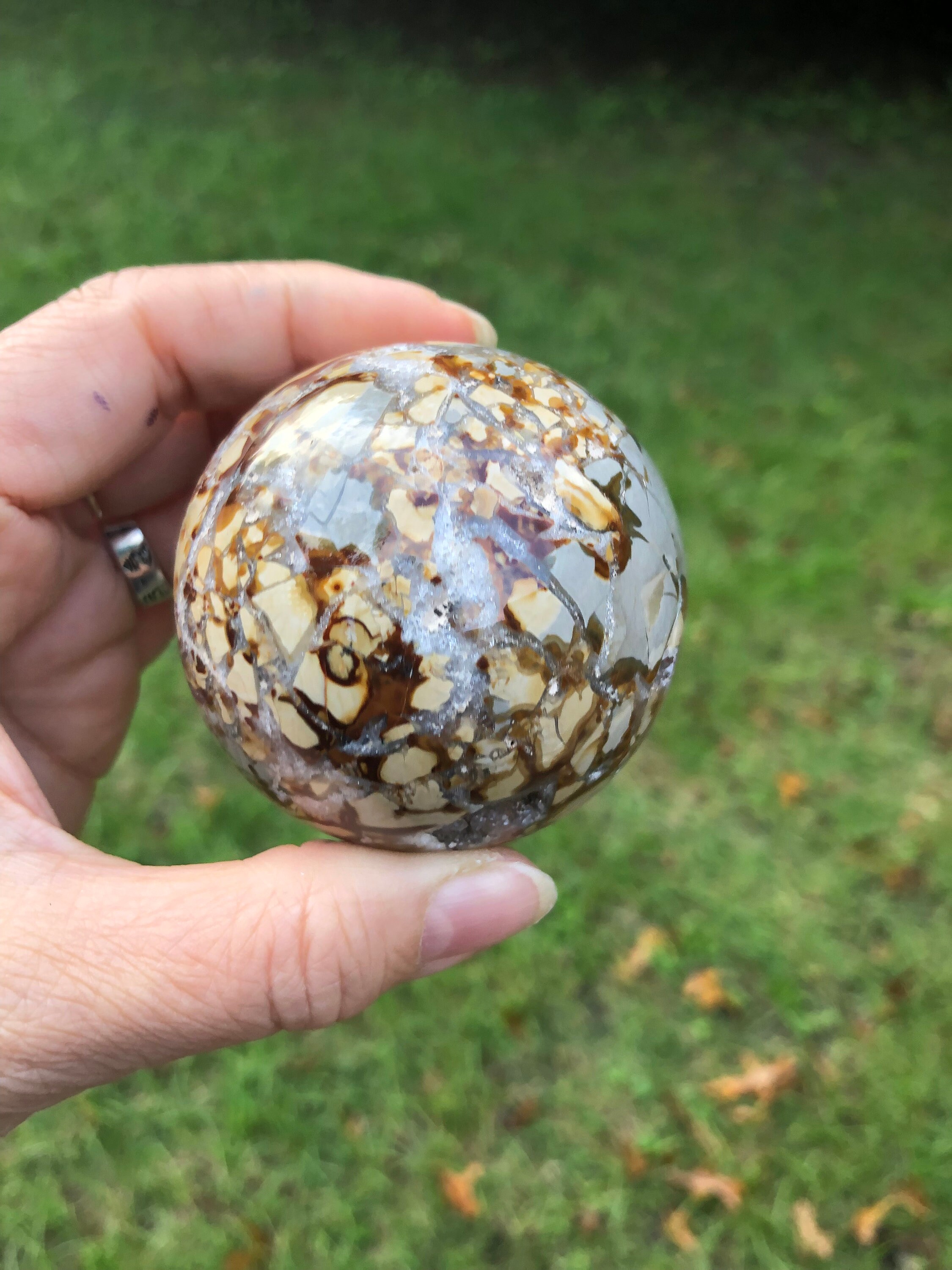 Ibis Jasper Sphere - Etsy