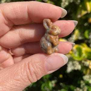 May include: A small, carved stone figurine in the shape of a rabbit. The sculpture features a mottled, earthy color palette with shades of tan, brown, and grey. The rabbit is depicted in a seated, upright position with visible ears and paws.
