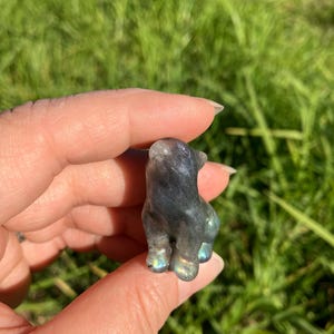 May include: A small, carved labradorite figurine of a dog. The figurine is primarily gray with iridescent blue and green flashes. The dog is in a sitting position, with its legs visible. The background is blurred green grass.