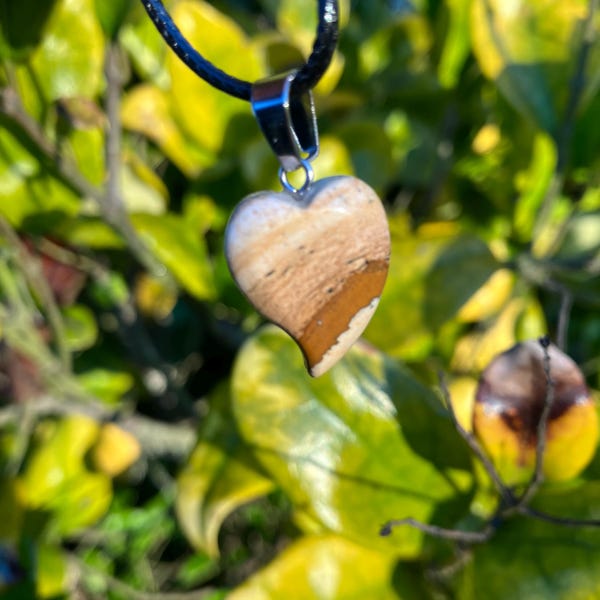 Picture Jasper asymmetrical Heart Pendant Necklace: Healing Stone Charm, Black Cord PJAHP-1