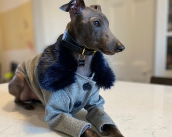 Glamorous Italian Greyhound Wool Coat with Faux Fur collar -  Iggy or Whippet Clothing