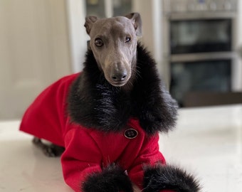 Red Passion Coat - Italian Greyhound / Whippet Clothing
