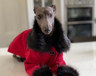 Red Passion Coat - Vêtements italiens Greyhound / Whippet