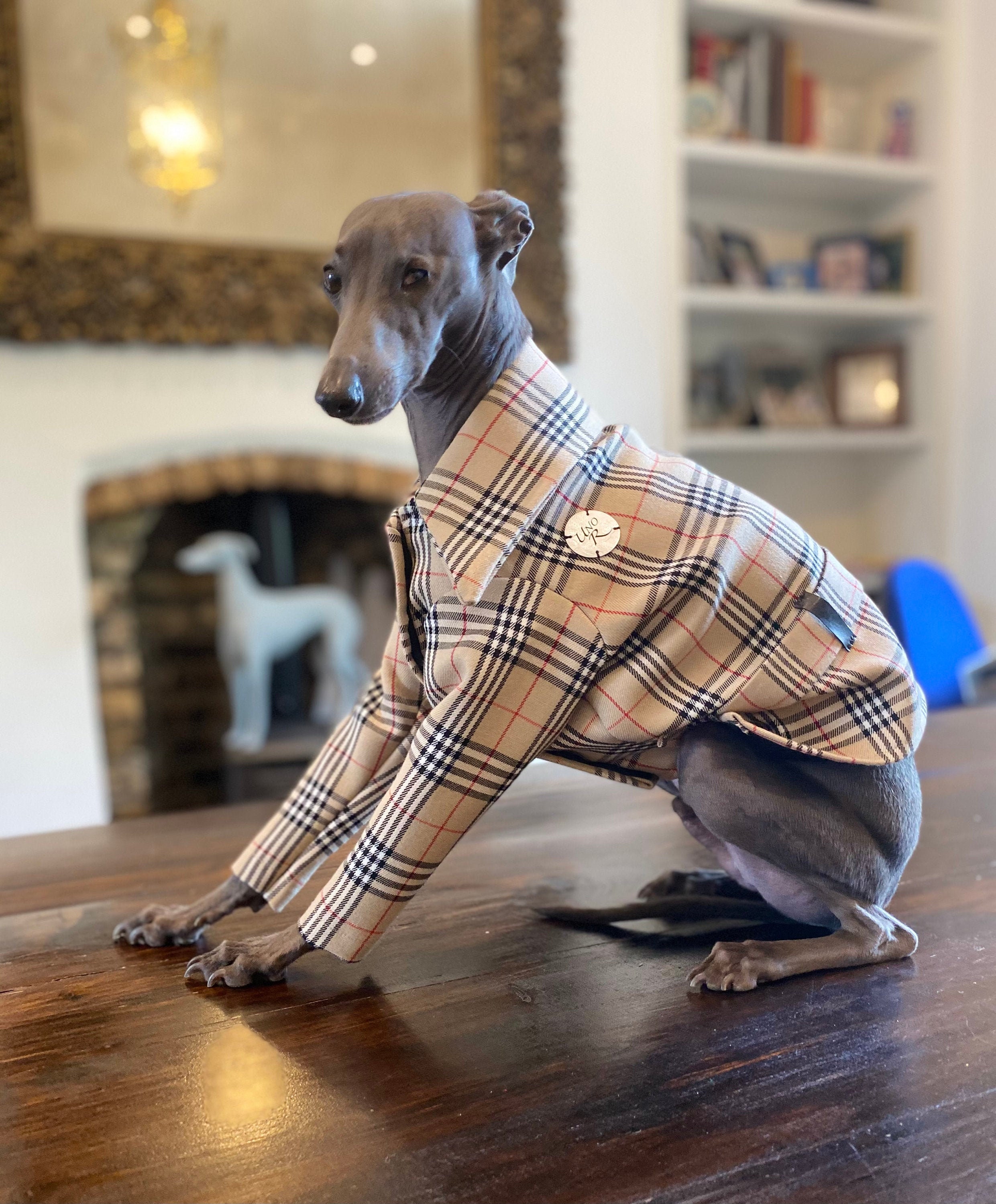 Buy Burberry Dog Coat Online In India India