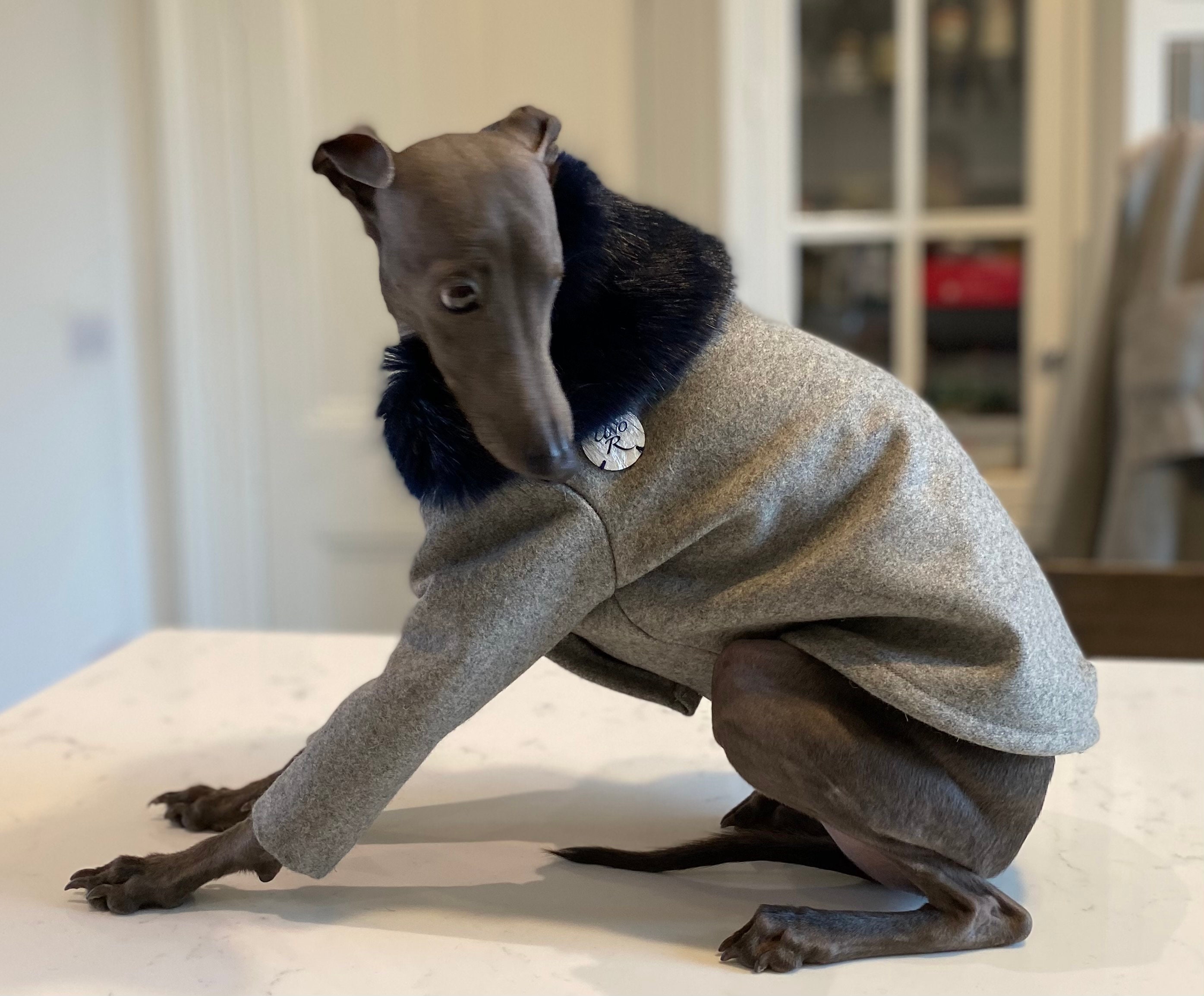 UOSIA Whippet Pullover Rot - Rollkragen Fleece Für Windhunde