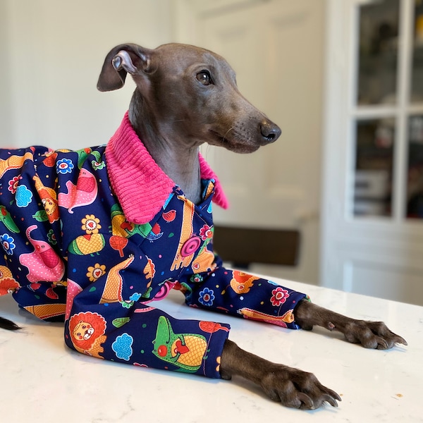 Funky City Italian Greyhound Raincoat - Iggy Clothing