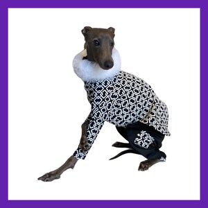 Traje de París - Galgo italiano / Ropa de Látigo