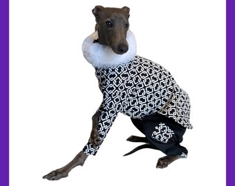 Paris Suit - Italian Greyhound / Whippet Clothing