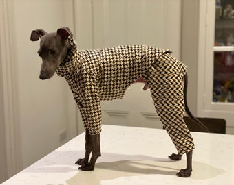 Pied de Poule Two Piece Chestnut Italian Greyhound Suit; Iggy / Whippet Clothing