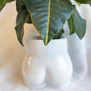Custom Resin Flower Pot (peach pot)