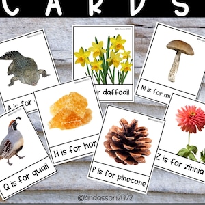 Nature Alphabet Cards, Alphabet Cards, nature ABC cards, Letter Knowledge, Learn Letters, Letter Sound Cards, Nature Cards, Montessori Cards
