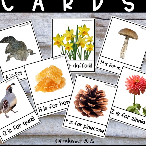 Nature Alphabet Cards, Alphabet Cards, nature ABC cards, Letter Knowledge, Learn Letters, Letter Sound Cards, Nature Cards, Montessori Cards