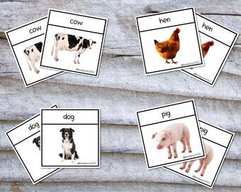 May include: Montessori animal matching cards with images of a cow, hen, dog, and pig. Each card has the animal's name written on it.