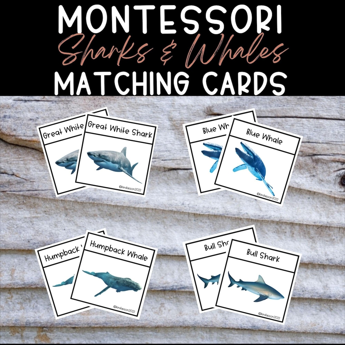 Montessori Ocean Shark & Whale Matching Cards, Ocean Animal Match ...