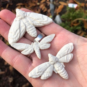 May include: Three white ceramic hawk moth sculptures of varying sizes. The sculptures are detailed and realistic, with intricate wing patterns and textured bodies.