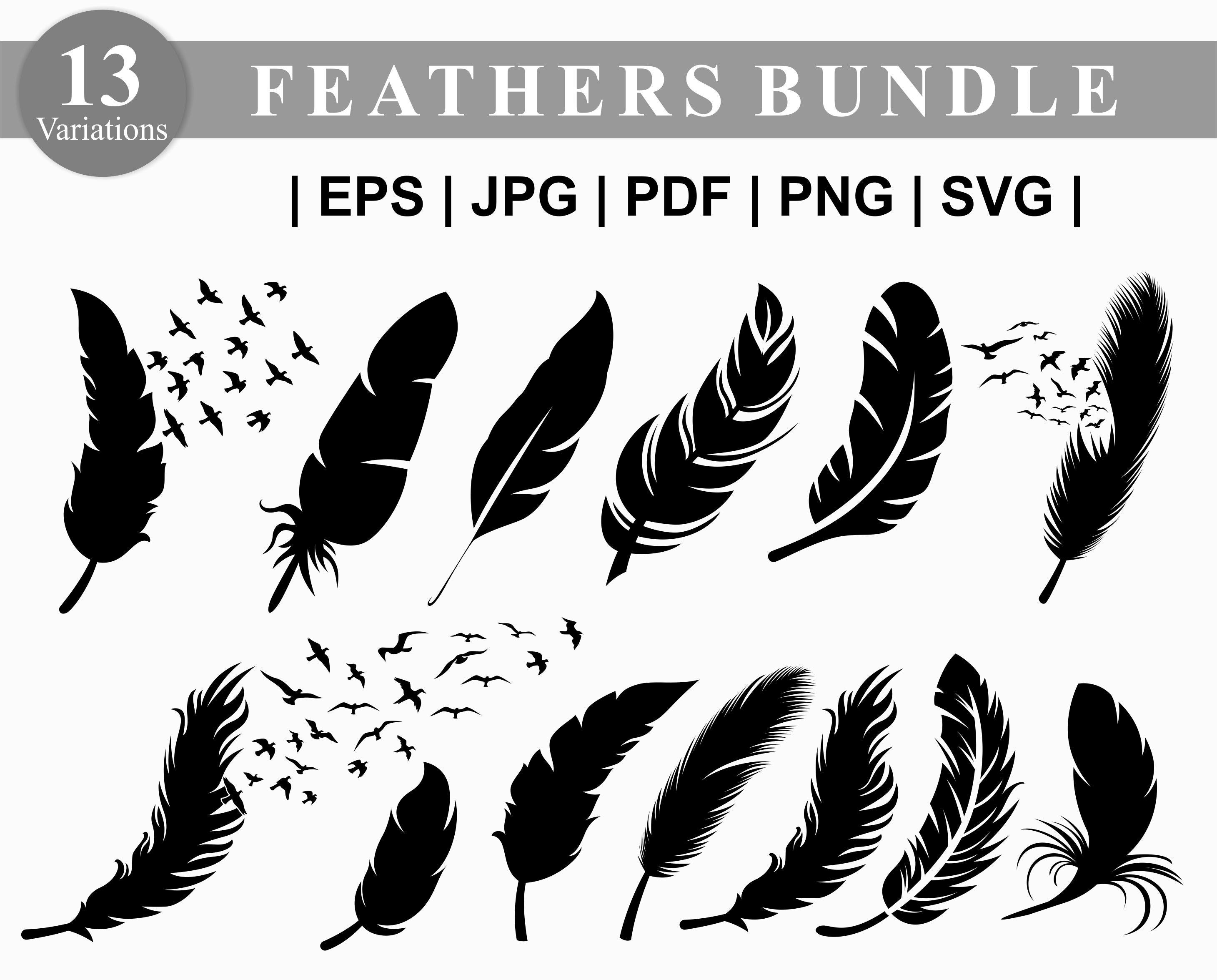 Feather SVG Bundle. Plume doiseaux svg. Plume Dxf silhouette pour