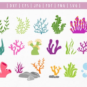 Maritimes Meeresleben svg. Unter Wasser Korallenriff svg. Seegras svg. Unter dem Seesvg. Ocean Elements Clipart Cricut. Seaweed Coral Cut Datei