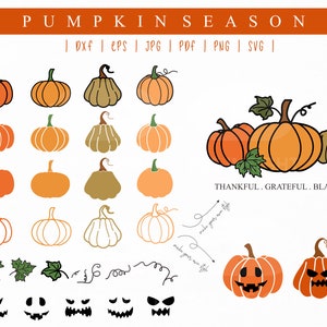 May include: A set of 20 pumpkin illustrations in various styles and sizes. The pumpkins are orange, green, and brown. The illustrations include pumpkins with stems, leaves, and jack-o'-lantern faces. The text "THANKFUL. GRATEFUL. BLASSED" is included in the image.