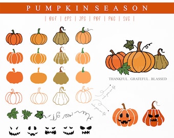 Pumpkin SVG bundle. Pumpkin Halloween. Fall Pumpkin svg. Pumpkin Thanksgiving Clipart. Farmhouse Fall svg. Pumpkin png cricut cut file