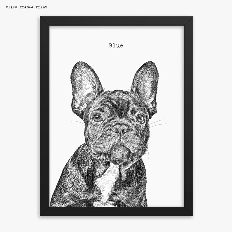 Custom Dog Portrait From Photo Dog Portrait With Frame Etsy
