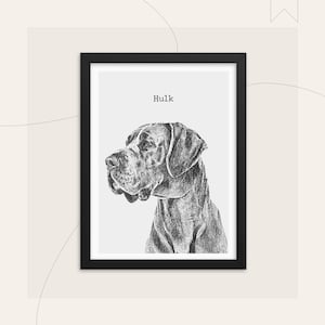 Custom dog portrait from photo, Dog portrait with frame, Digital dog portrait, Pet loss gifts for dog lovers, Dog mom gifts