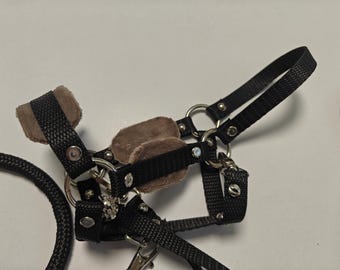 - Accessories -