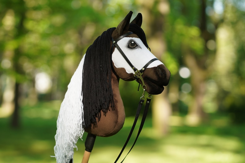Puede incluir: Una cabeza de caballo marr&oacute;n y blanca con crin y cola negras, llevando una brida de cuero negro con bocado de plata. La cabeza del caballo est&aacute; unida a un palo de madera, y el fondo es verde borroso.