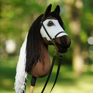 Puede incluir: Una cabeza de caballo marr&oacute;n y blanca con una crin y cola negras. El caballo lleva una cabezada de cuero negro y una cuerda de plomo. El caballo est&aacute; de pie en un campo de hierba.
