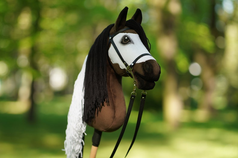 Puede incluir: Una cabeza de caballo marr&oacute;n y blanca con una crin y cola negras. El caballo lleva una cabezada de cuero negro y una cuerda de plomo. El caballo est&aacute; de pie en un campo de hierba.
