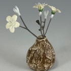 SingingTreeDesign