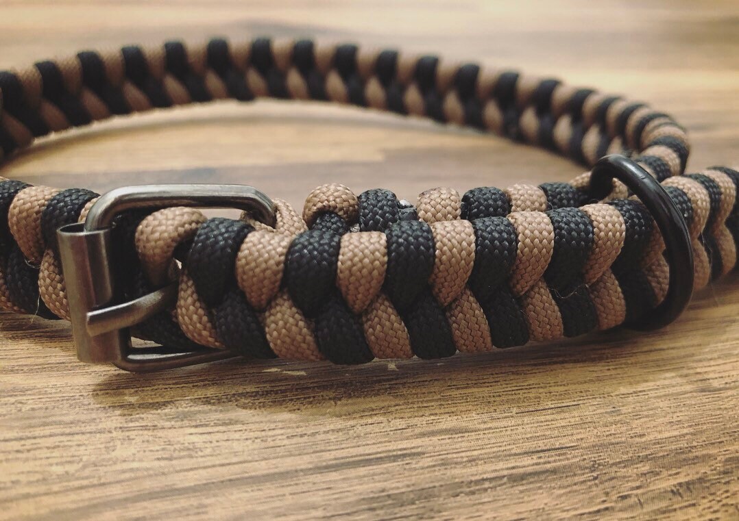 Adjustable Paracord Dog Collar Etsy