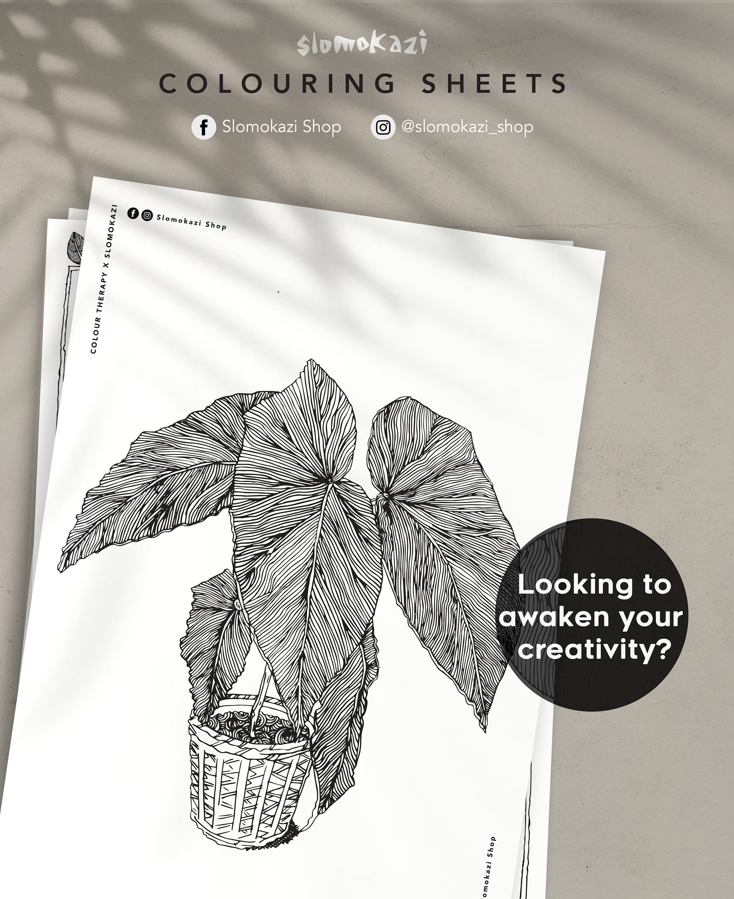Colouring Pack for Adults • 3 Sheets • Instant Download • A4 Printable ...
