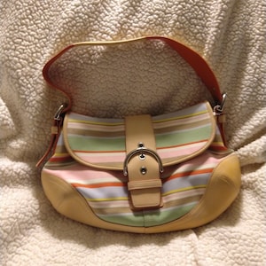 Coach bag with blue stripe on sale