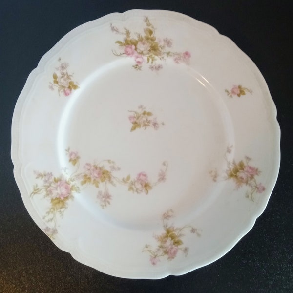 Dinner Plate by Austria, Vienna China