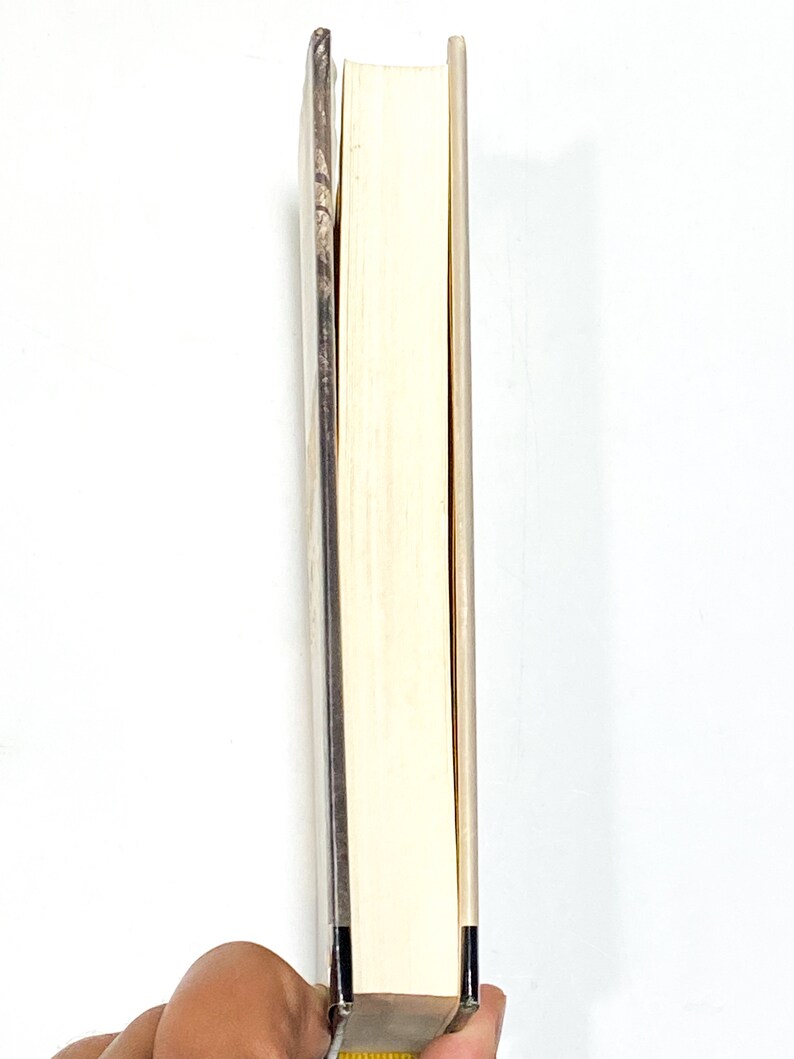 Yonder Stands Your Orphan - Barry Hannah Hardcover Southern Fiction immagine 6