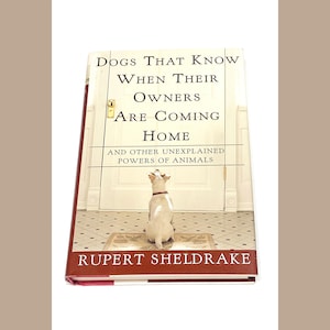 Dogs That Know When Their Owners Are Coming Home - Rupert Sheldrake - Dog Book - Dog Lover Gift - Dog Behavior Book - Very Good Condition
