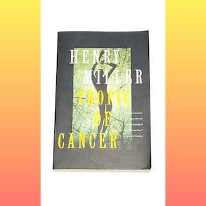 Used Fiction Paperback Book - Paperback - Fiction Books - Pre Owned Used - Good Condition
