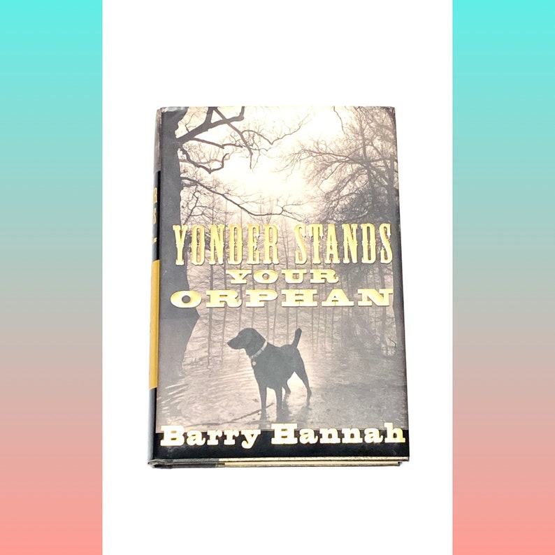 Pu&ograve; includere: Una copertina di libro con una foto in bianco e nero di un cane in piedi in un bosco. Il titolo &egrave; "Yonder Stands Your Orphan" e l'autore &egrave; "Barry Hannah".