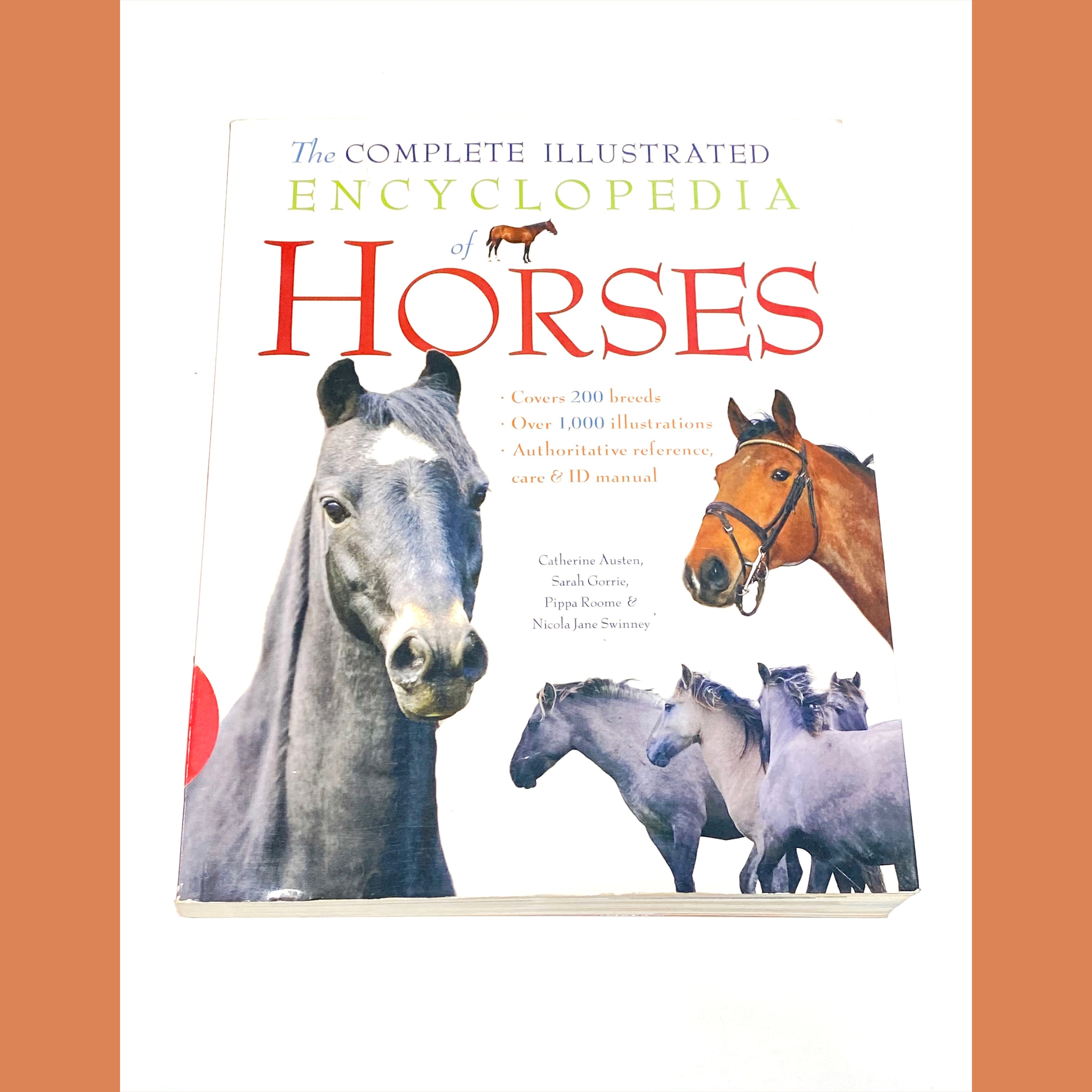 Horse Breeds&Breeding-Jane Kidd 洋書 Horse Breeds and Breeding by Jane Kidd - 洋書