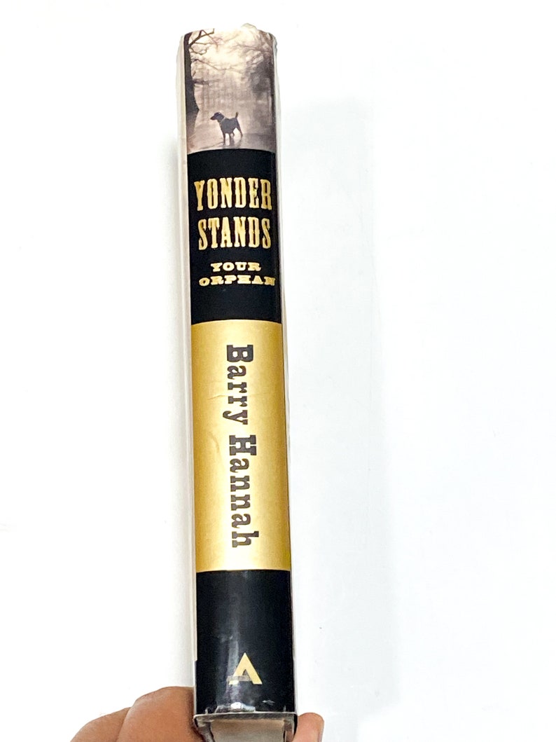 Pu&ograve; includere: Un libro intitolato "Yonder Stands Your Orphan" di Barry Hannah. La copertina presenta un'illustrazione in bianco e nero di un cane che cammina in una foresta nebbiosa.