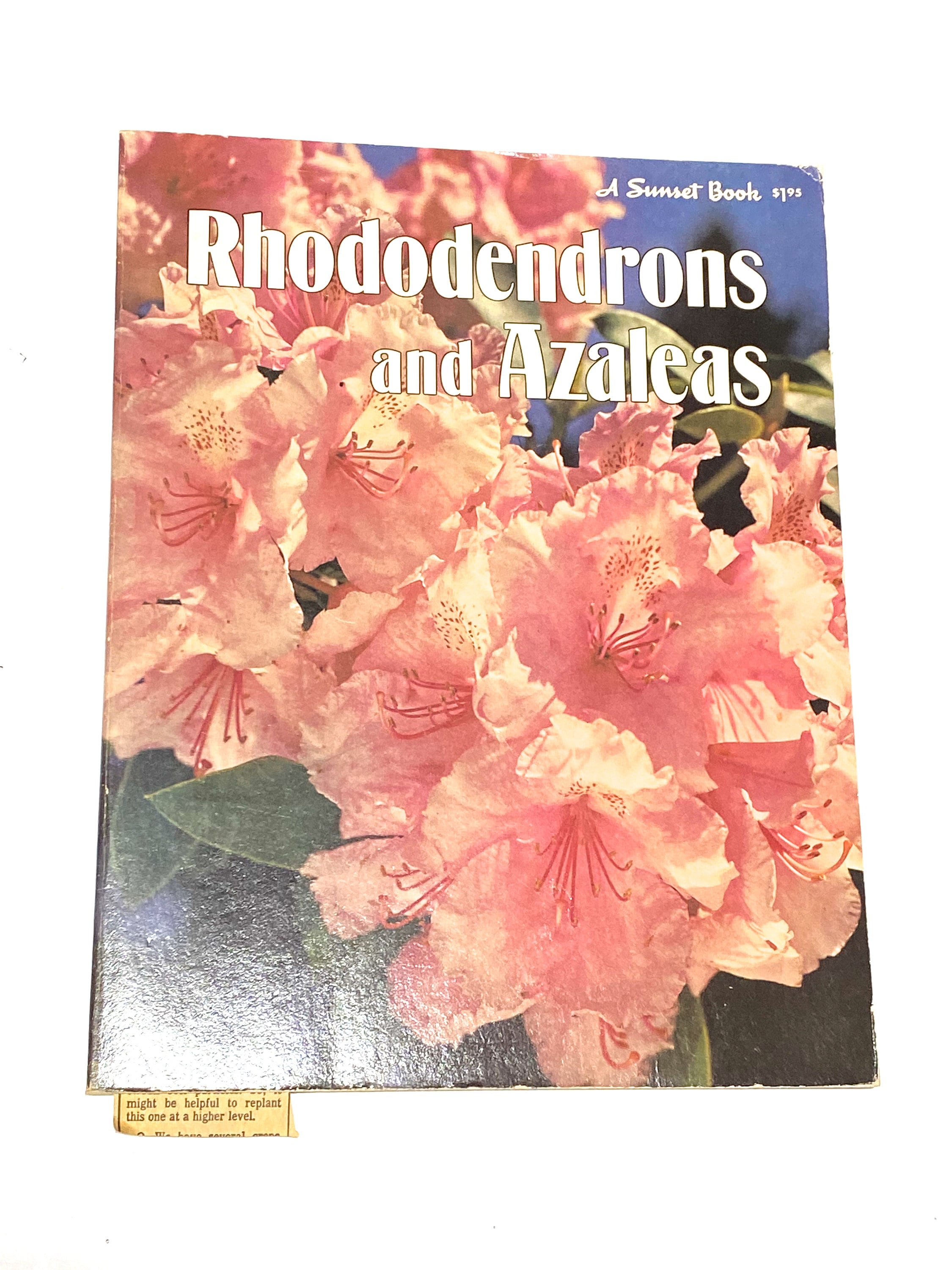 How to Grow Camellias - Roses - Rhododendrons - Container Gardening ...