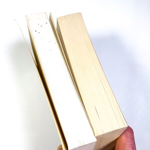 a person holding a piece of wood in their hand